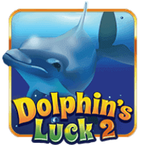 Dolphins Luck 2